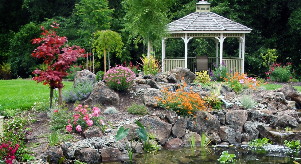 magical tree pond