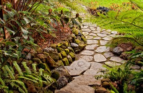Landscaping-and-pathway-Cupertino-(1)
