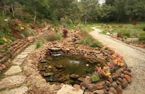 Landscaping-and-water-feature-Scotts-Valley.