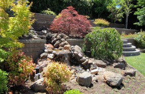 os Altos Pondless Waterfall with Large Landscaped Back Yard