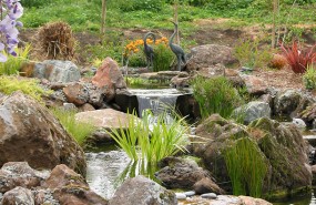 Hollister Pond with Wetland System, Waterfall, and Stream
