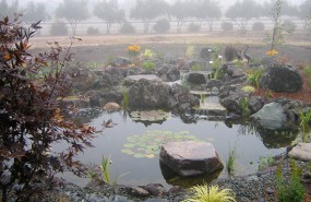 Hollister Pond with Wetland System, Waterfall, and Stream