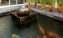 Koi Pond Installations