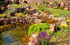 San Jose Large Landscape Installation with Koi Pond and Stream