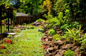 San Jose Large Landscape Installation with Koi Pond and Stream