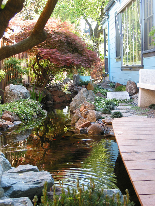 Pond With Stream and Wetland System - Santa Cruz
