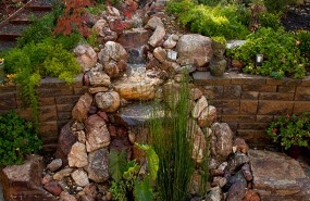 Pond Magic - Saratoga Waterfall, Pond, Landscaping and Patio