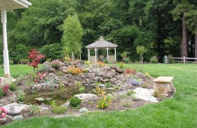 Scotts Valley Turtle Pond with Waterfall and Stream Builder