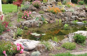 Scotts Valley Turtle Pond with Waterfall and Stream Builder