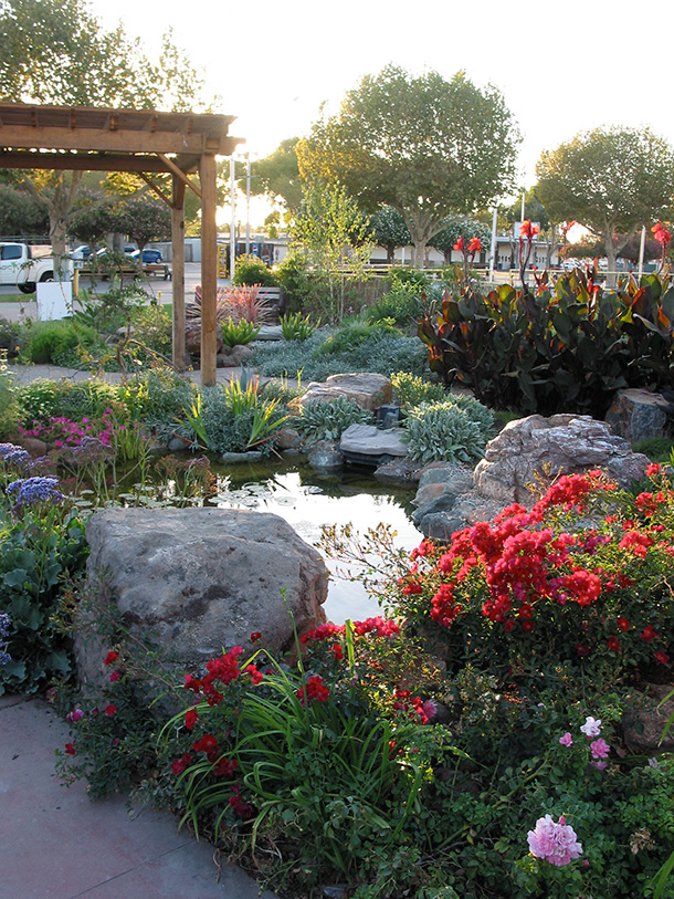 Pond and Landscape Display Tully Road San Jose