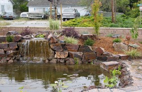 Koi Pond with Waterfall and Flagstone Pathway - Watsonville